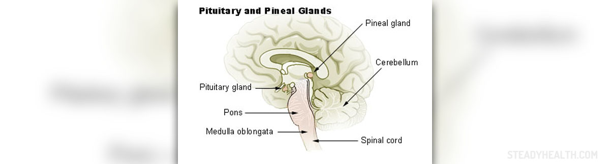 Pituitary gland tumor: symptoms of pituitary adenoma | General center
