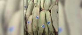 Plantains nutrition facts