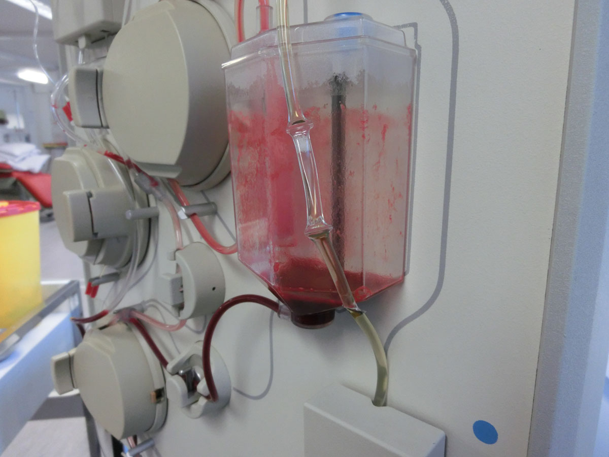 requirements to donate plasma biolife