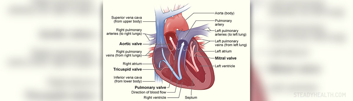 poor-circulation-causes-general-center-steadyhealth