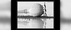 Poppy seed tea effects