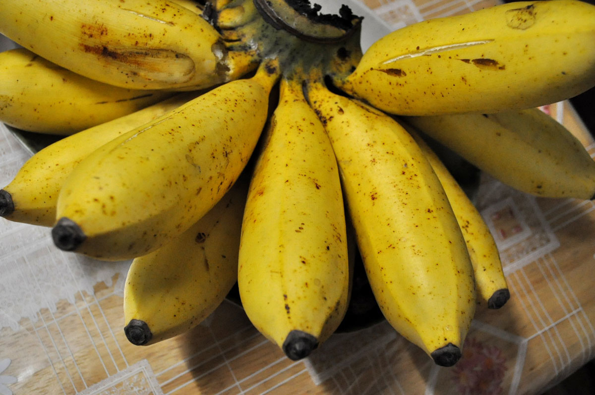 What Is Potassium Good For Bananas