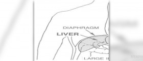 Prevention of hepatitis