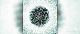 Prevention of human papillomavirus