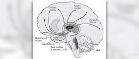 Prevention of neural tube defects