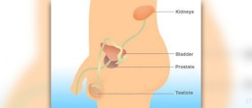 Prostate exams are uncomfortable