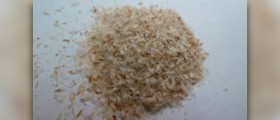 Psyllium husk benefits