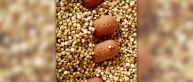 Quinoa nutrition facts