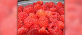 Raspberries health benefits