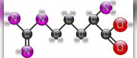 Recommended L-arginine dosage