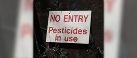 Reduce toxic exposures in your home