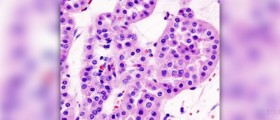 Renal failure diet