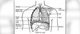 Respiratory infection symptoms