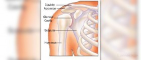 Rotator cuff therapy
