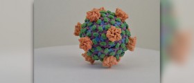 Prevention of rotavirus