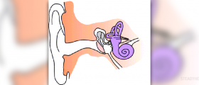 Save yourself from the terrible ear infection