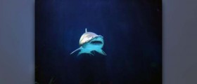Shark cartilage supplement