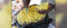 Shea butter products