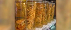 Siberian ginseng and its many benefits