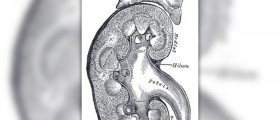 Signs and symptoms of kidney infection