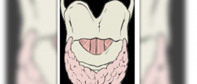 Sluggish thyroid symptoms