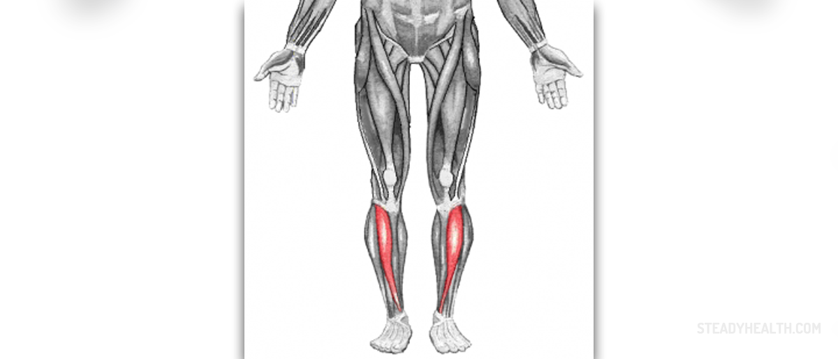 Sore Leg Muscles General Center SteadyHealth