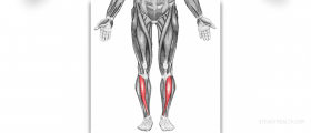 Sore leg muscles
