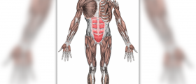 Sore muscles after running