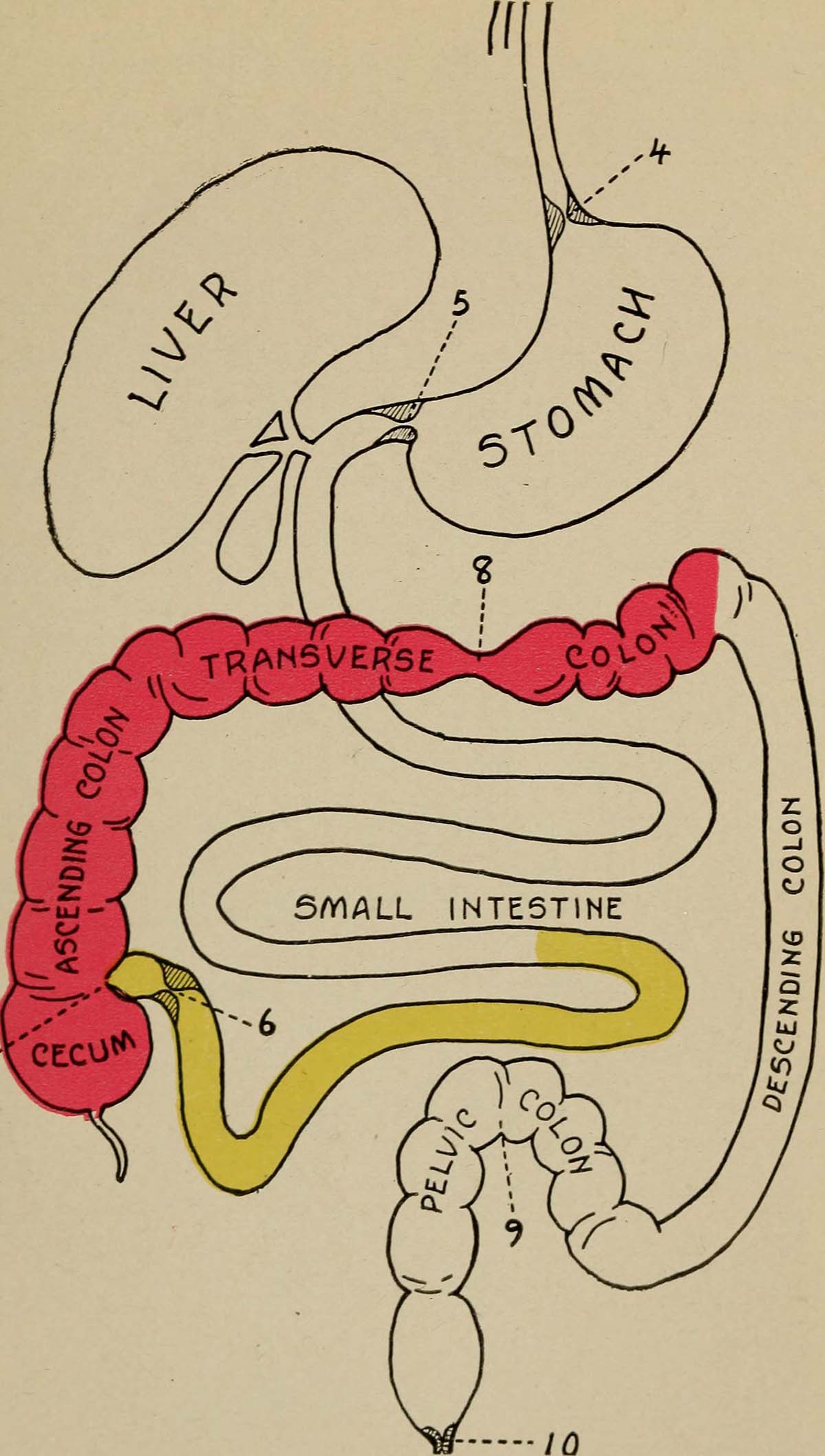 Symptoms of spastic colon General center