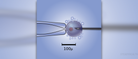 Who benefits from intracytoplasmic sperm injection (ICSI)
