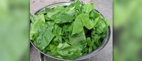 Spinach health benefits