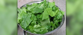 Spinach nutrition facts