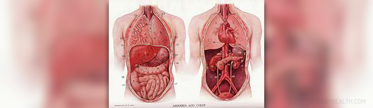 splenectomy-procedure-removal-of-the-spleen-lymphatic-endocrine