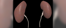 Stages of chronic kidney disease (ckd)