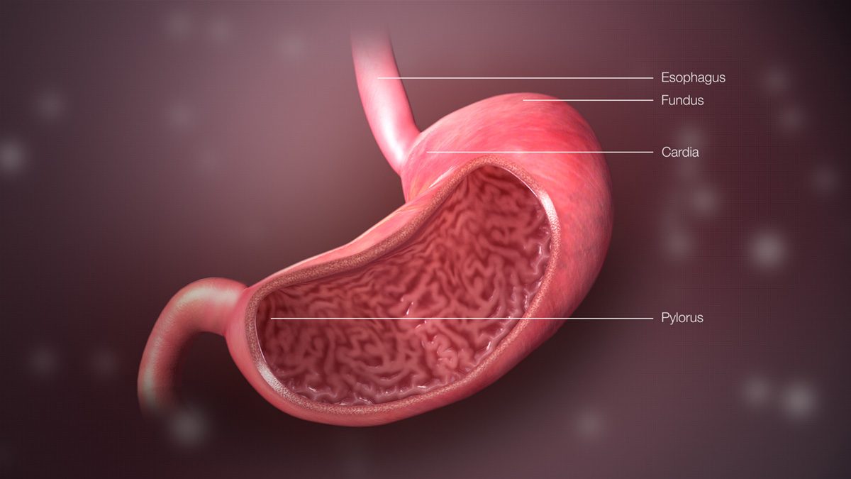 sour-stomach-symptoms-general-center-steadyhealth