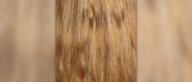 Summer care for hair