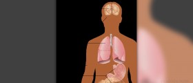 Symptoms lyme disease humans