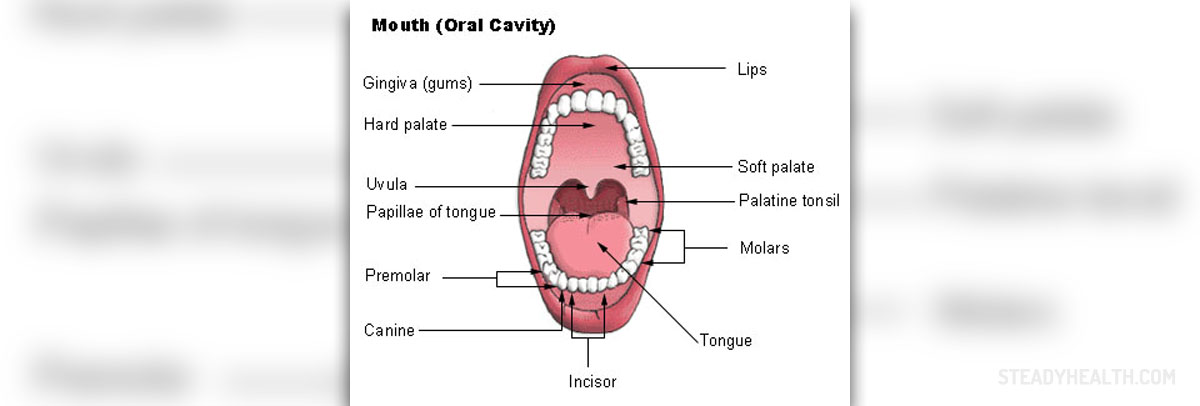 Symptoms of mouth cancer | General center | SteadyHealth.com