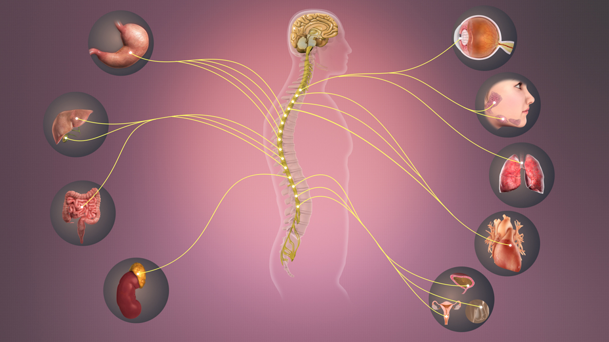 Sympathetic Nervous System Disorders 