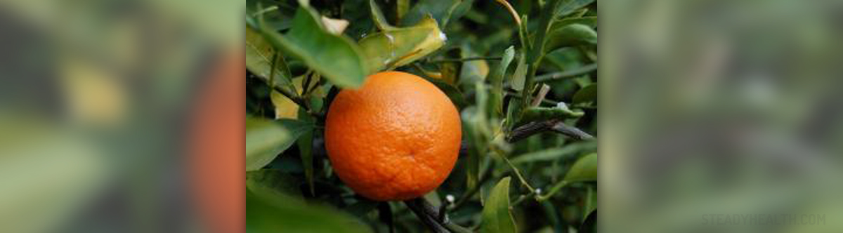 tangerine calories 100g