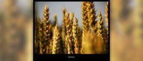 The benefits of whole grains