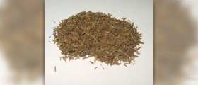 Thyme tea facts