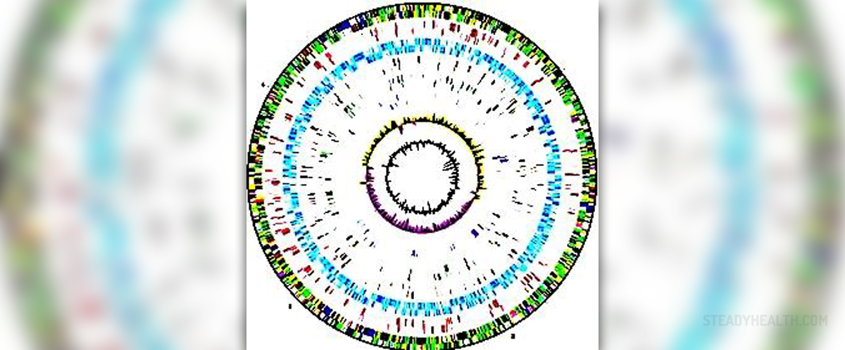 top-5-most-common-genetic-diseases-general-center-steadyhealth