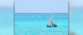 Travellers health tips