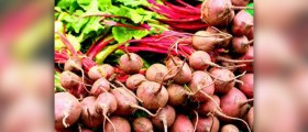 Turnip nutrition facts