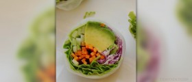 Vegan diet problems