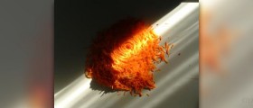 Vitamin A or beta carotene?