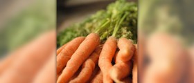 Vitamin A sources