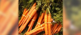 Vitamin A toxicity