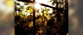Vitamin D toxicity
